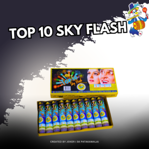 TOP 10 SKY FLASH
