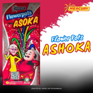 FLOWER POT ASHOKA