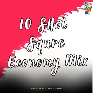 10 SHOT SQUARE ECONOMY MIX