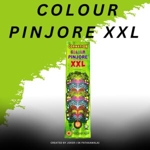 COLOUR PINJORE XXL (10 Pcs)