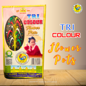 TRI COLOURS FLOWER POTS