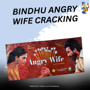 BINDHU ANGRY WIFE CRACKING